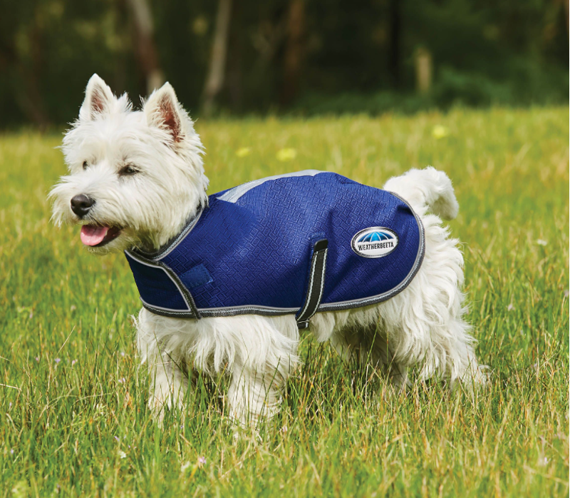 WeatherBeeta Comfitec Premier Free Parka Dog Coat Blue-2